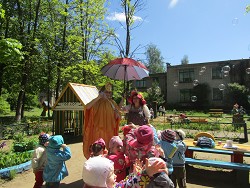 IMG 0123
