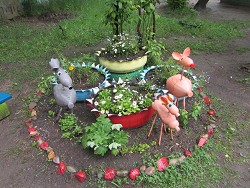 IMG 0202