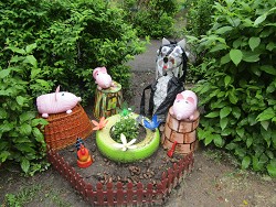 IMG 0205