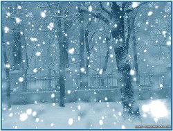 winter screensaver falling snow